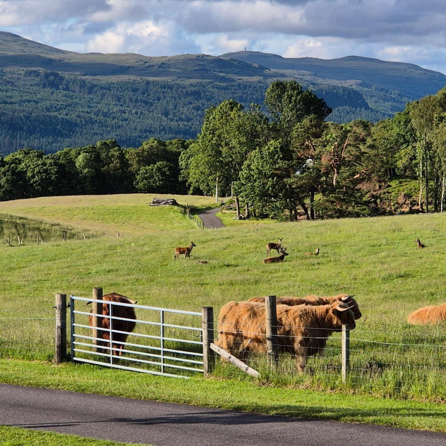 The Old Convent Holiday Apartments Fort Augustus Luaran gambar